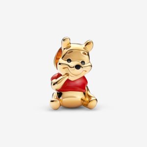 charms Winnie pooh